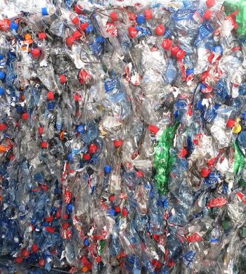 Polyester - PET Waste Disposal In Fujairah